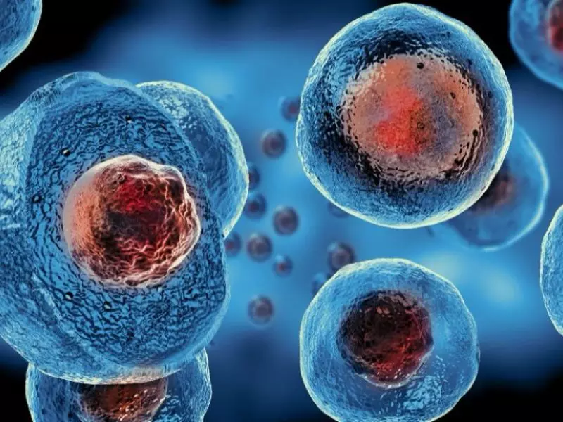 stem-cell-exosome-therapy-the-key-to-cellular-regeneration